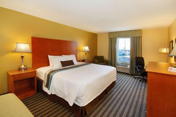 Best Western Plus Seawall Inn & Suites By The Beach image 13